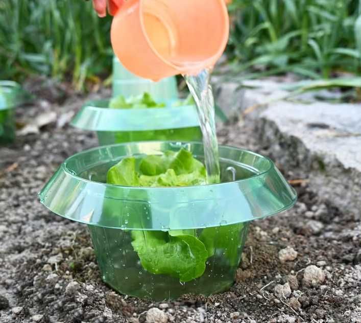 Guleri reutilizabili din plastic pentru melci și limacși