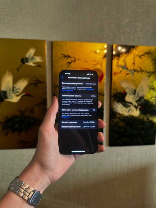 Iphone 16 Pro Max Black Titanium 100% 256гб Около Идеал