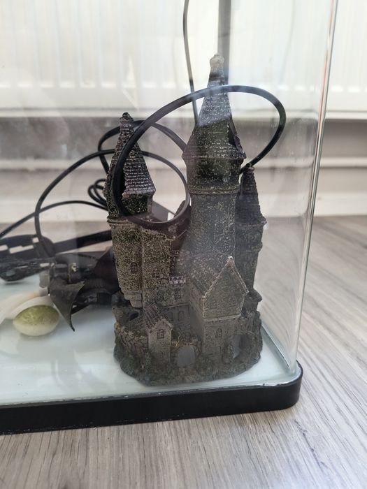 Acvariu 30 l / capac și accesorii