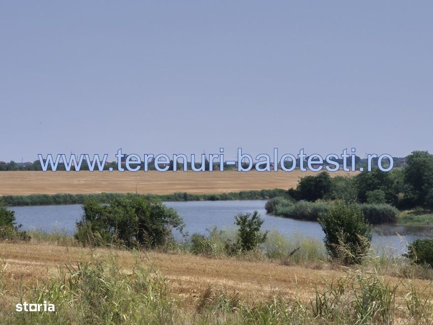 Teren Balotesti,550 mp,langa casa locuita,electricitate ,gaz-70 metri