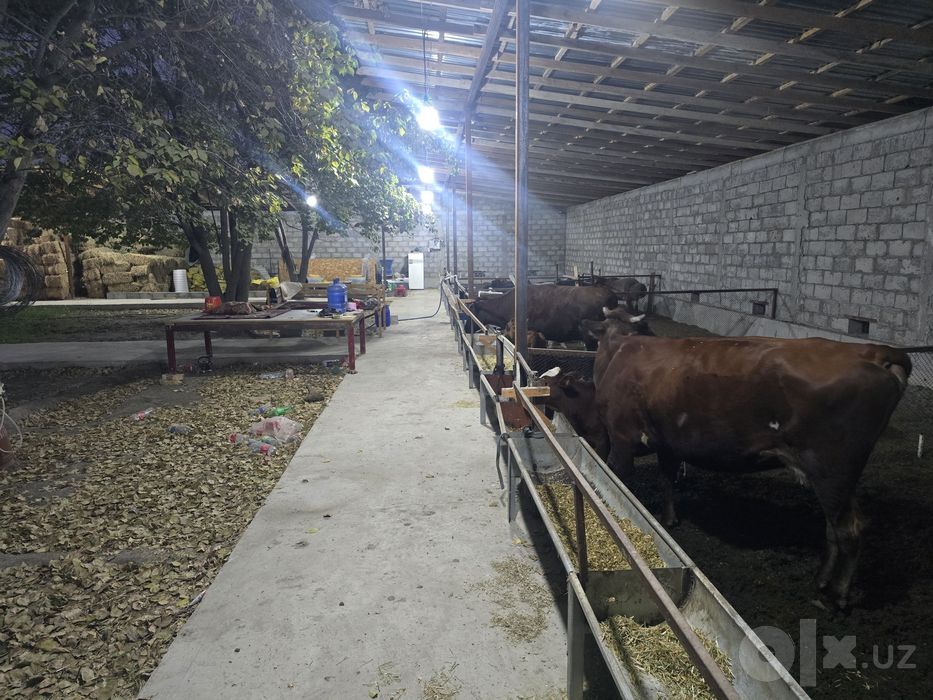 Продаётся ферма и дача