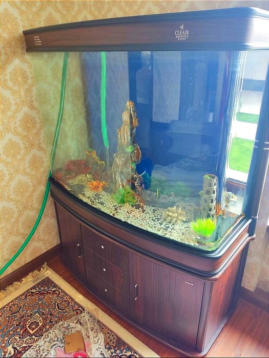 Чистка аквариума обслуживание аквариума качественно