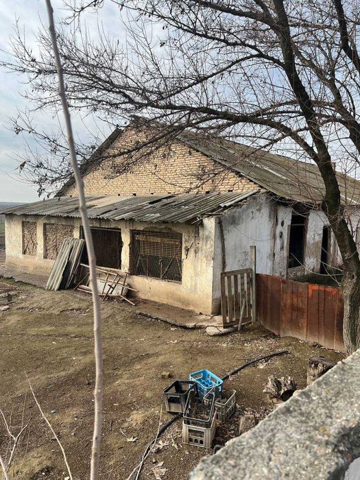 Янгиюль тумани янгиабодда ховли