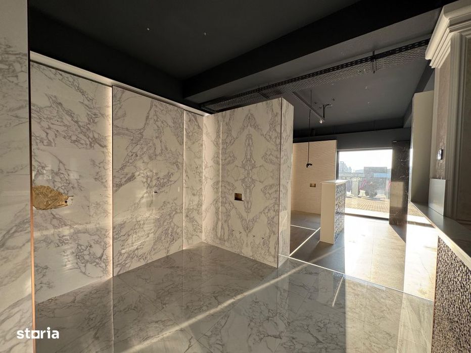 Inchiriere Spatiu Comercial Vitrat, 480 mp Tatarasi - Hotel Amadeo