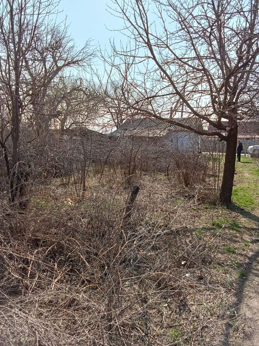 Дача в Арысь за Дендро парком