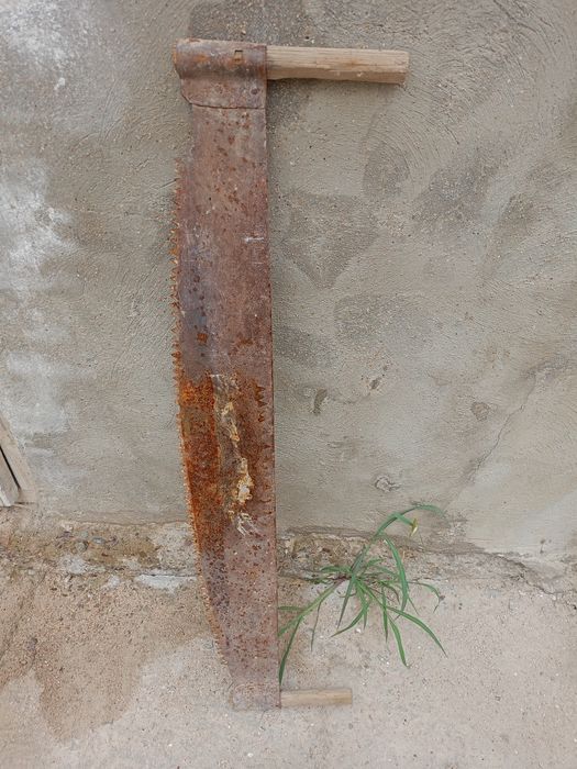 Ағаш ара сатылады срочна