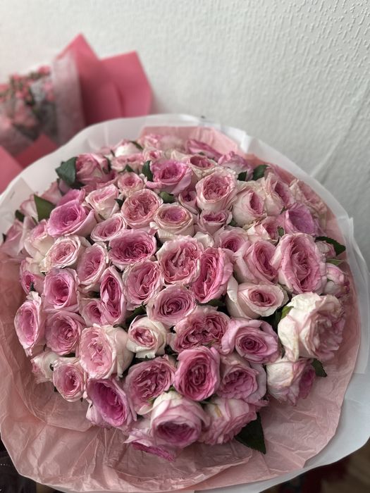 Гул Роза 71шт Кустовые Рожа