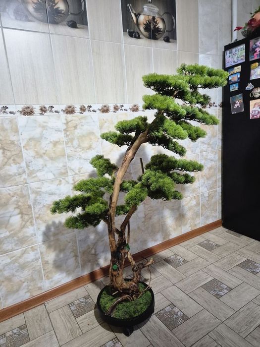 Бонсай ручная работа