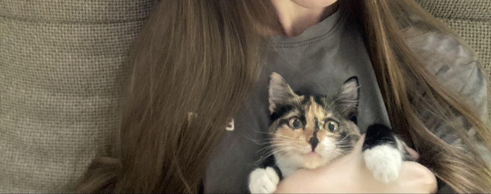 Котенок девочка 5 месяцев