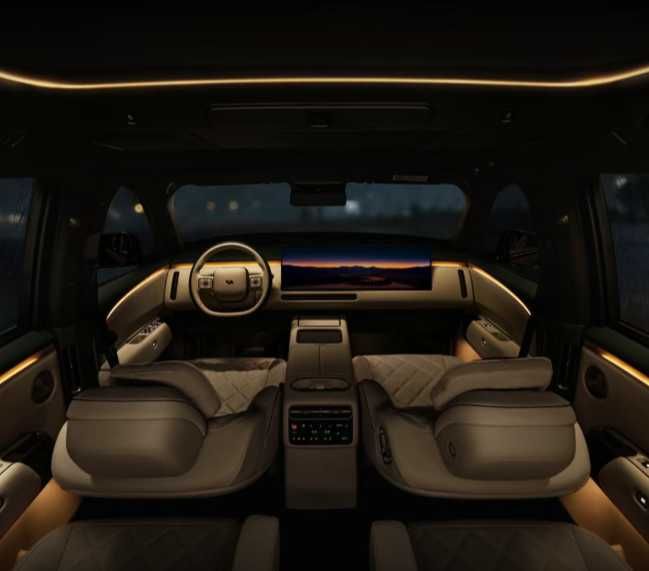 Lixiang Li9 Livis