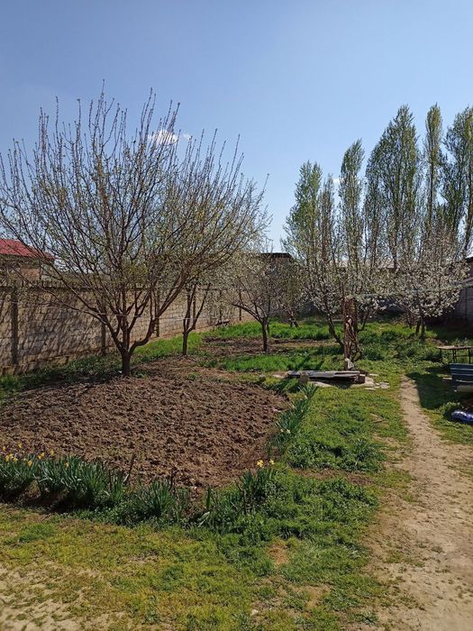 Участок 9 соток 5 комнаты (дом-коробка)