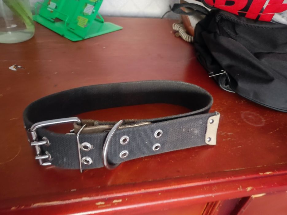 Продам или обменяю ошейник