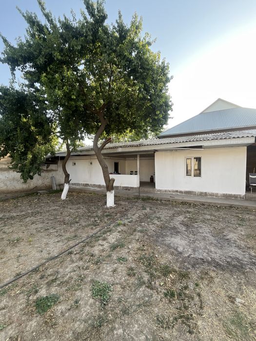 Гей жопасының порносын қараңыз