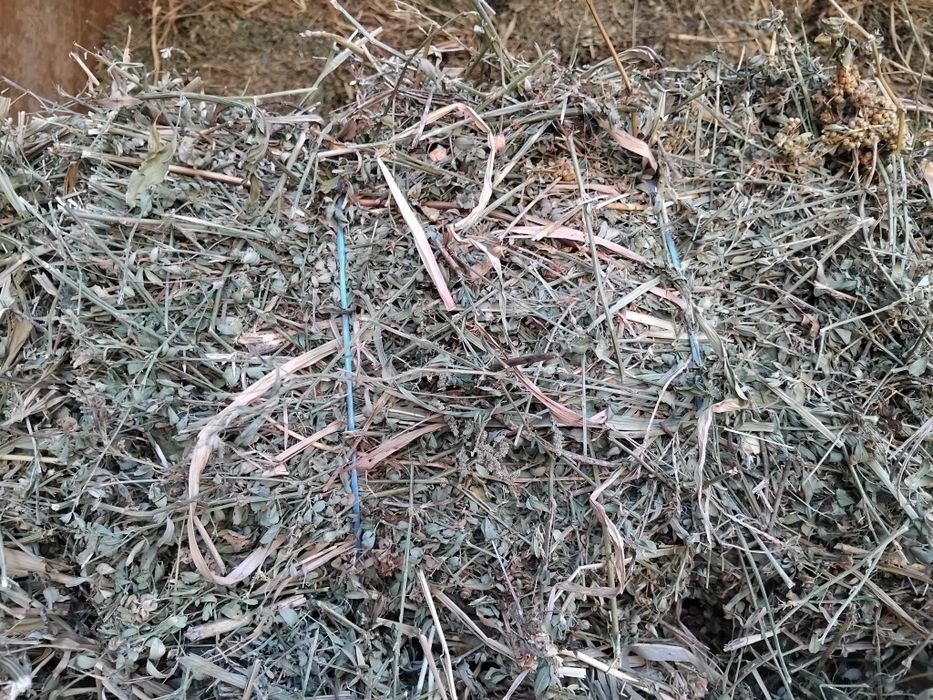 Baloti de lucernă de vânzare