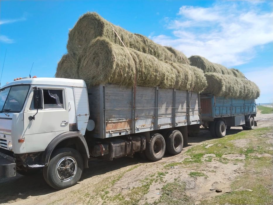 Продам сено хорошее