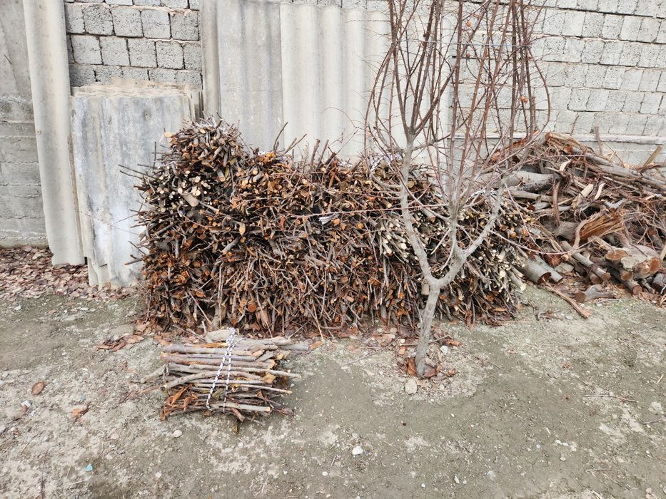 Утин вевали дарахтники