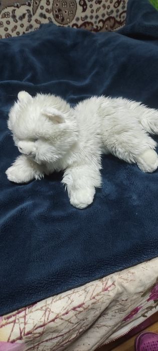 Продам мягкую игрушку кошка