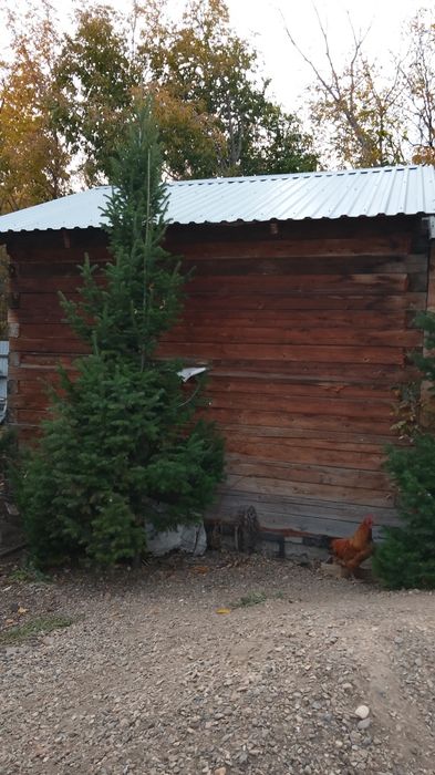 Деревянный домик из бруса.