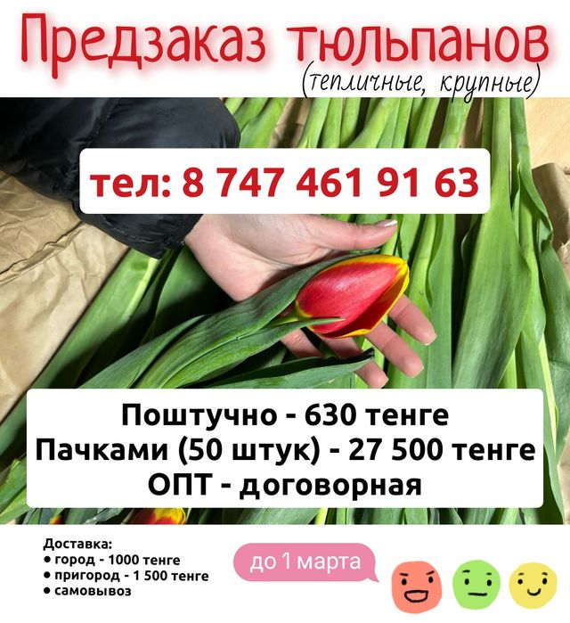 Тюльпаны - самые лучшие!