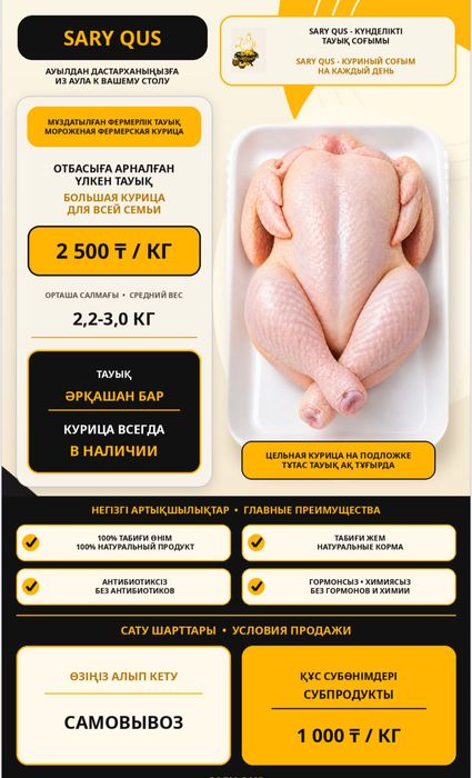 Домашняя курица (бройлер)