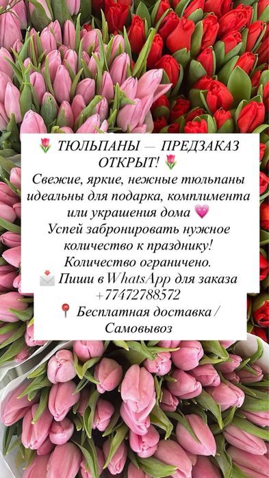 ТЮЛЬПАНЫ к 8 марта | Павлодар