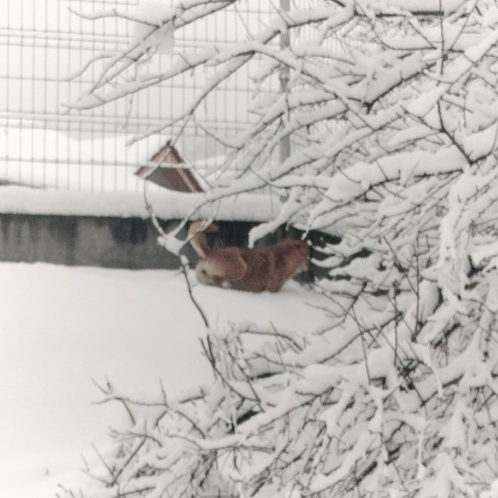 Curăț zăpadă zona Aiud