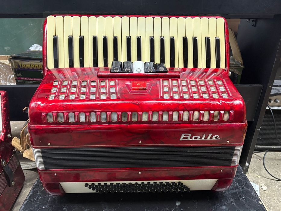 Acordoen Parrot cu 80 de basi