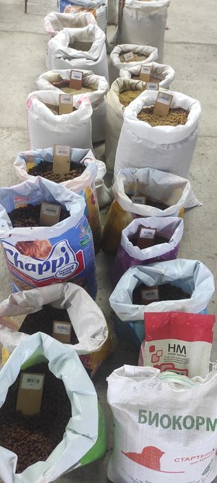 Корма для животных в Темиртау