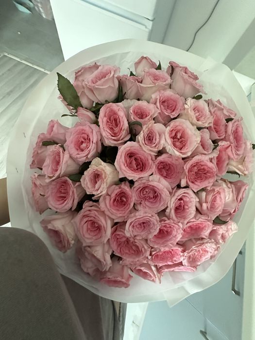 Роза 51 штук свежый