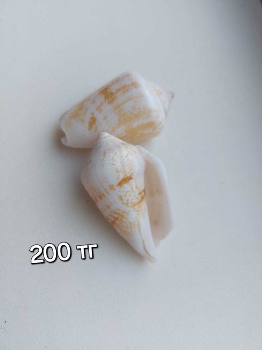 Грунт для аквариума