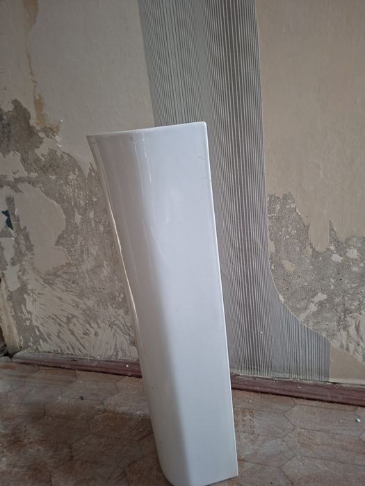 Тюльпан раковина