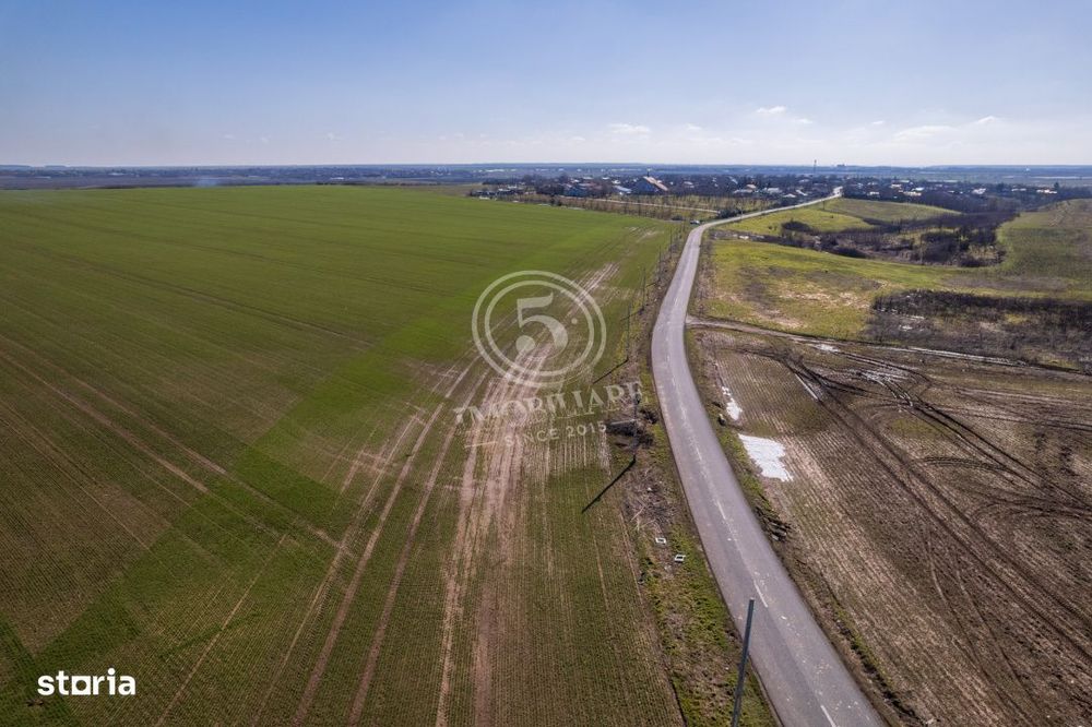 Oportunitate Investitionala: Teren 8 Ha – Nuci, Calarasi