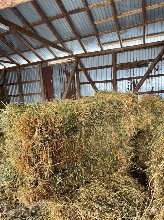 Baloți LUCERNĂ coasa 2 și 3