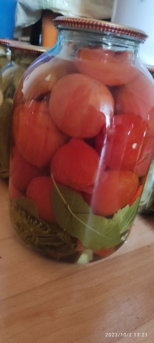 Домашние  помидоры  консервированные