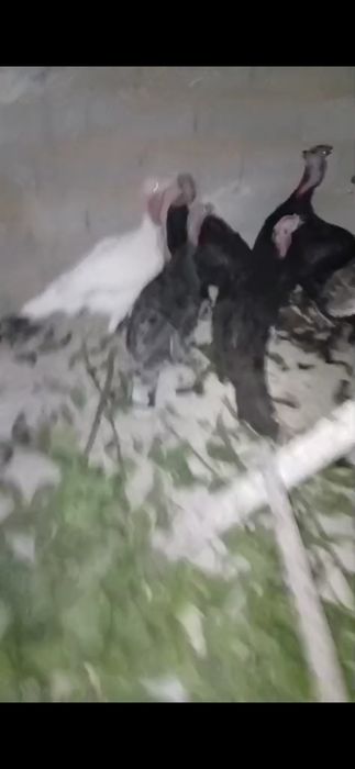 Үй сатылады срочна