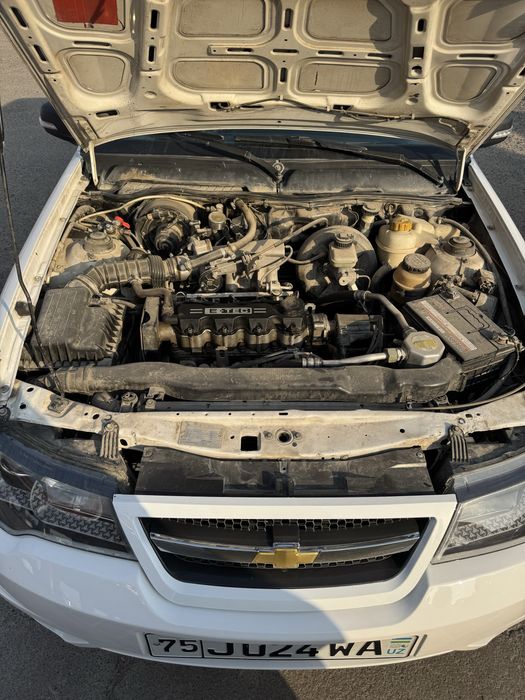 Nexia 2 sons super konsaner