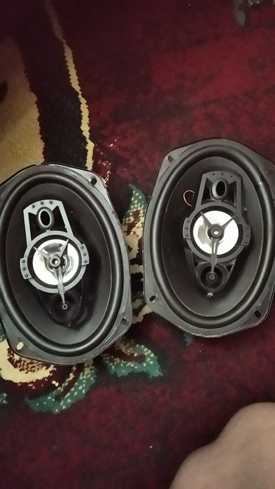 Динамики овальные (Китай)