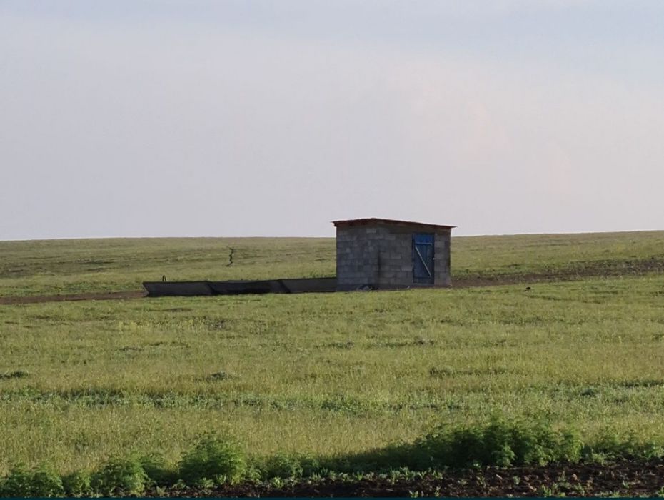 Крестьянское хозяйство