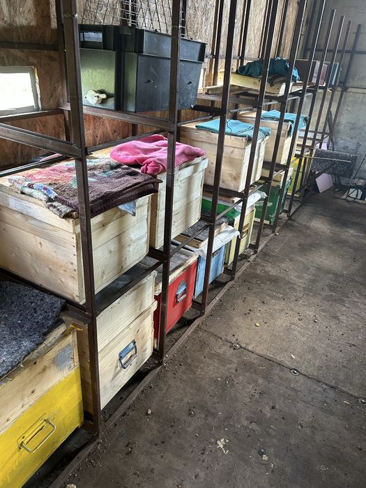 Vand stupina camion apicol si 30 famili de albine