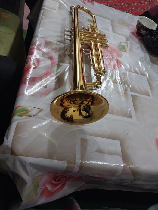 Труба. Truba arginal