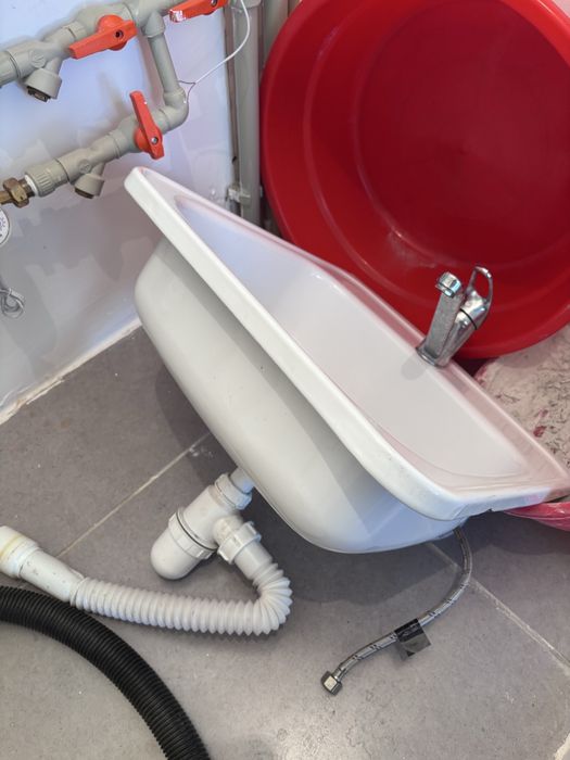 Раквина железная