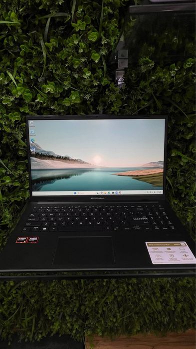 Asus vivobook Go 15