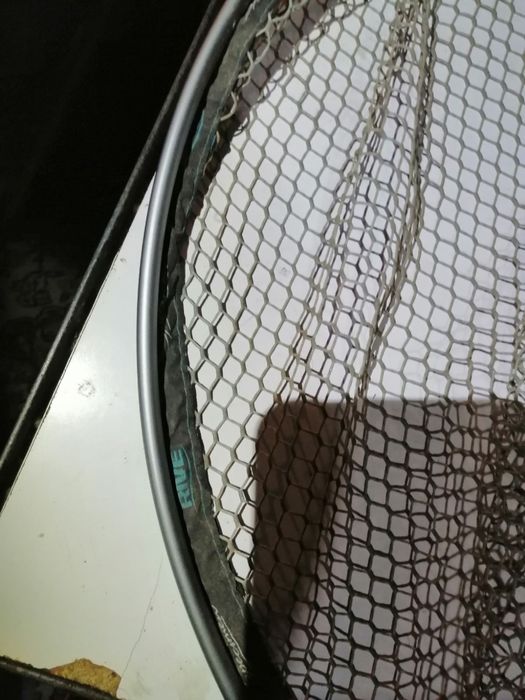 Кеп глава, гумирана, шаранджийска