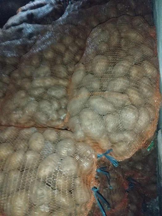 Cartofi consum rosu si alb