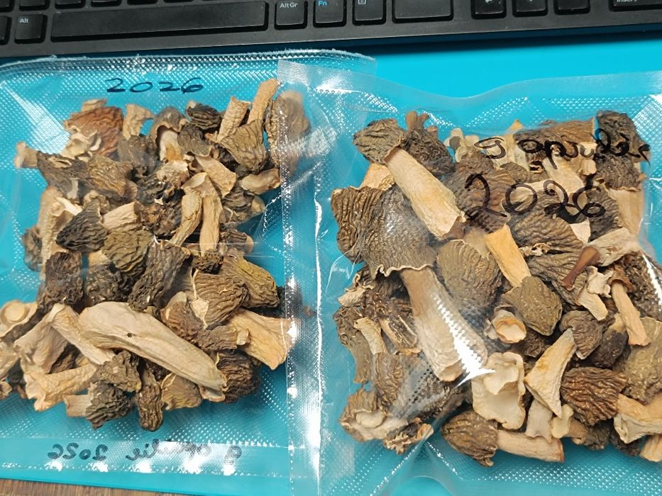 Zbârciogi proaspete sau deshidratate