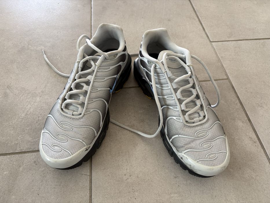 Nike TN Air Max Plus Grey