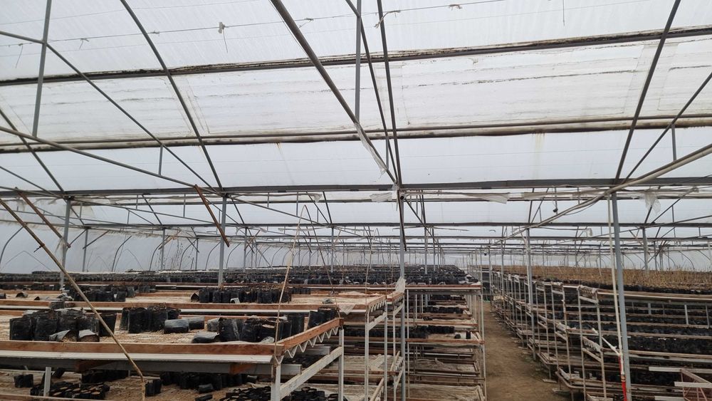 20 sotix hovli 18 so'tix issizqhonasi 1 hona uyi b-n sotiladi