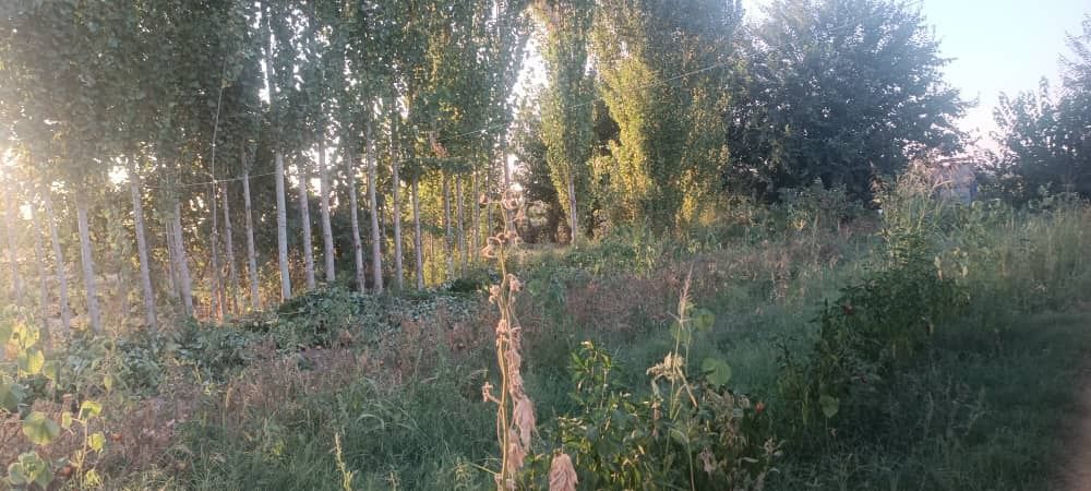 Участка сотилади