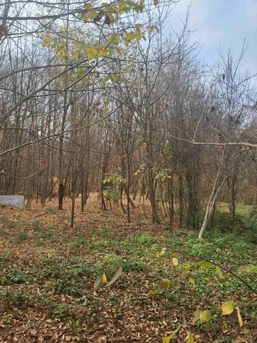 Продава се Къща в Троян - 77 кв.м за 431 €/кв.м - Снимка #3