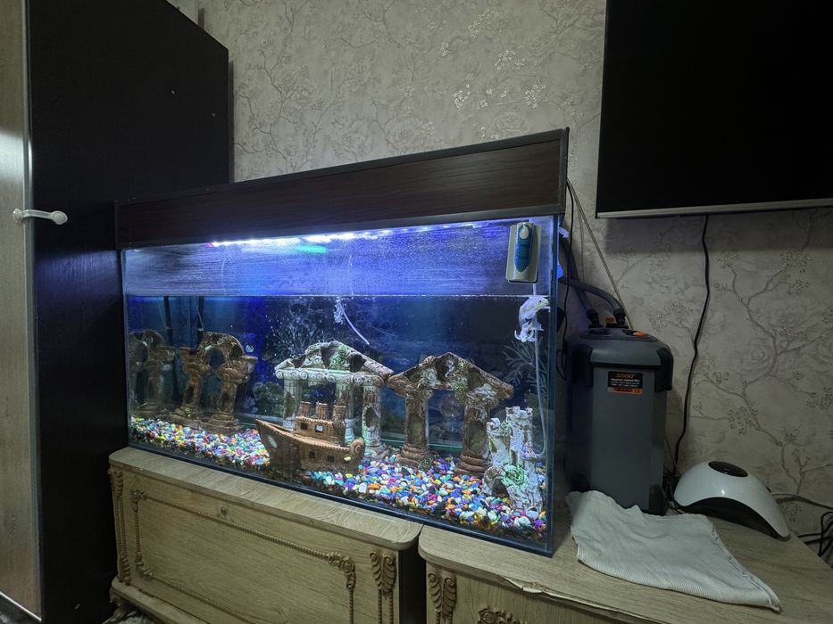 акварюм яхши холатда ишлаб турипти филтирлари блан